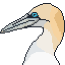A pixel-art image of a Gannet.